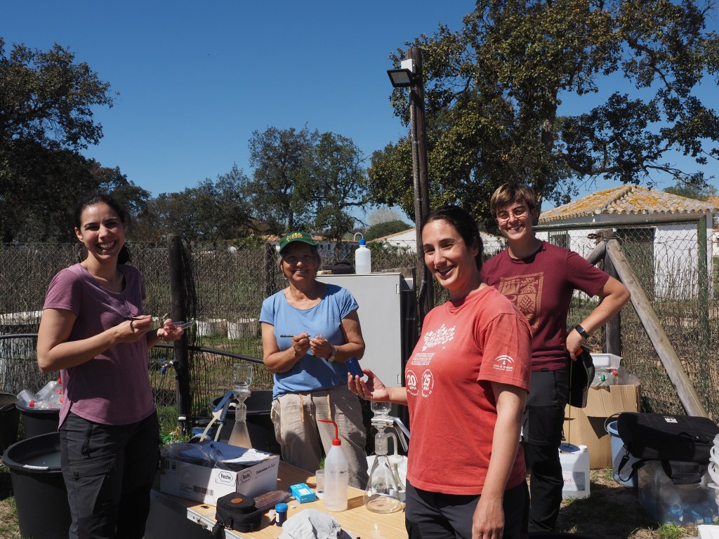 Mesocosm experiments
